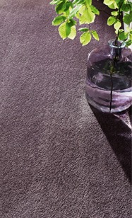 Teppichboden violett Struktur mit Vase und Pflanze